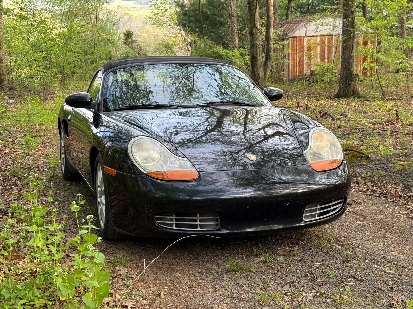 Project Six Storm S V8 Swapped Boxster